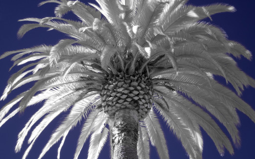 496770 (a): :2560x1600